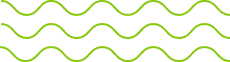 Decorative Wave Shape – Dr. Nandi Grace English School Branding